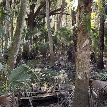 Black Bear Wilderness Area - 1/4 mile - Hiking Near Me - Sanford, Florida