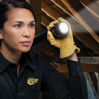Critter Control of Bloomington - Pest Control Near Me - Bloomington, Indiana Critter Control of Bloomington - Pest Control Near Me - Bloomington, Indiana