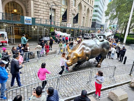 Charging Bull by null