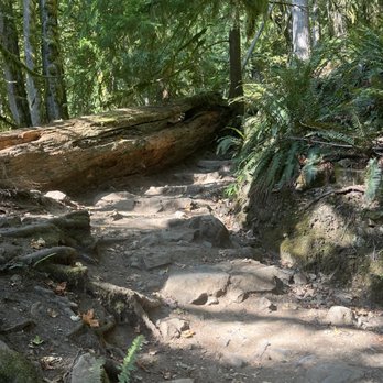 Mount Si - Cool steps and log - Parks Near Me Mount Si - Cool steps and log - Parks Near Me