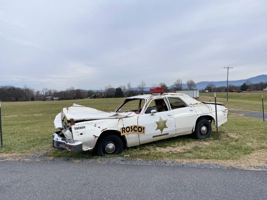 Cooter's Place - Luray by null