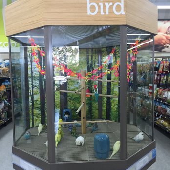 Petco - Cute birds. - Pet Stores Near Me - Redondo Beach, California