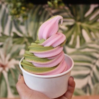 Holy Matcha - Matcha yogurt-plain and watered down. Around $6 - Tea Rooms Near Me - San Diego, California Holy Matcha - Matcha yogurt-plain and watered down. Around $6 - Tea Rooms Near Me - San Diego, California