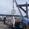 J-Dock Seafood Co gift card