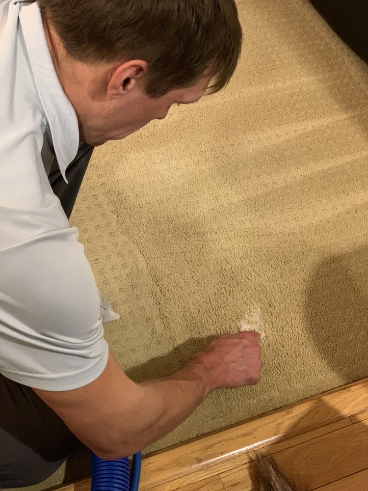 MY CARPET CLEANING Updated August 2024 13 Photos 127 E Lake St