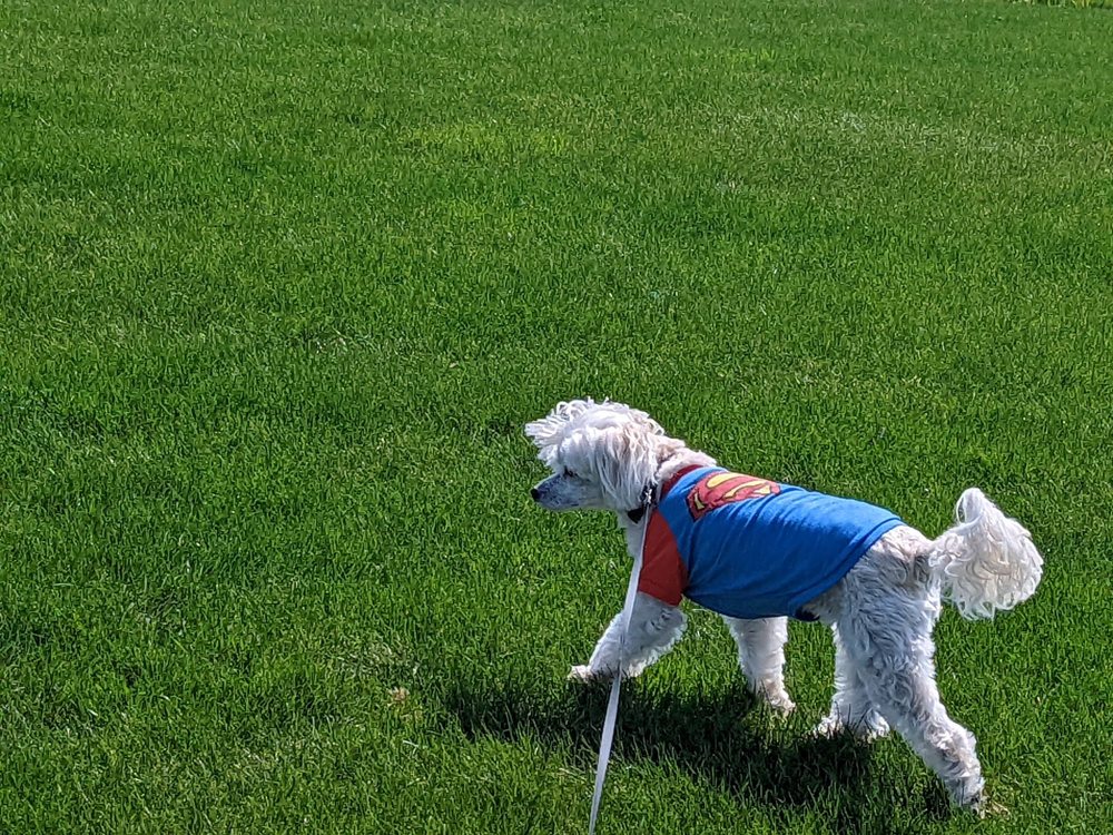 Social spots from Muttland Meadows