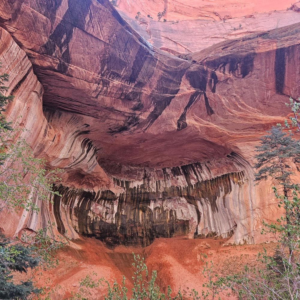 Kolob Canyons - Double arch alcove - Hiking Near Me - New Harmony, Utah Kolob Canyons - Double arch alcove - Hiking Near Me - New Harmony, Utah
