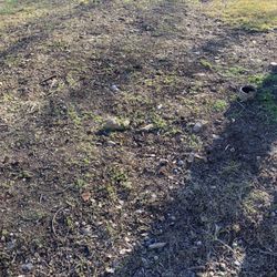 Photo of Going The Extra Mile Landscaping & Lawn Maintenance - Little Rock, AR, US. Flowerbed updating