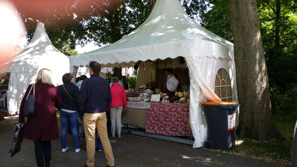 De Haar Castle by null