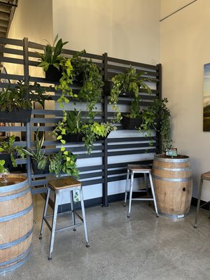 Altamont Beer Works by null