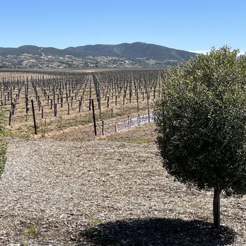 BOTTAIA Winery - Vineyard - Wine Tasting Room Near Me - Temecula, California BOTTAIA Winery - Vineyard - Wine Tasting Room Near Me - Temecula, California