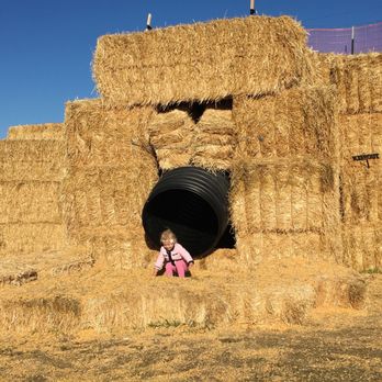 Jaker's Jack-O-Lanterns - Pumpkin Patches Near Me - Springville, Utah
