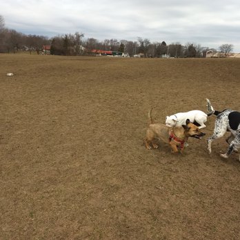 Currie Dog Park - Dogs at Currie. - Dog Parks Near Me - Wauwatosa, Wisconsin Currie Dog Park - Dogs at Currie. - Dog Parks Near Me - Wauwatosa, Wisconsin