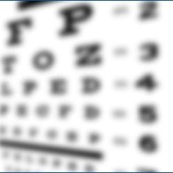 The Optical Center