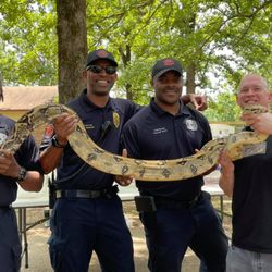 Steve's Snaketuary