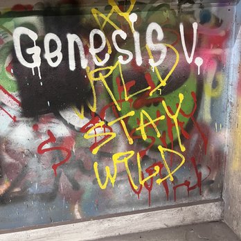 Studio WIP - Graffiti Wall - Paint & Sip Near Me - Chicago, Illinois