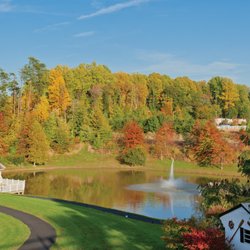 Greenspring