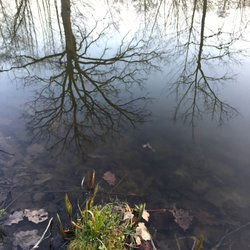 Alter Kanal