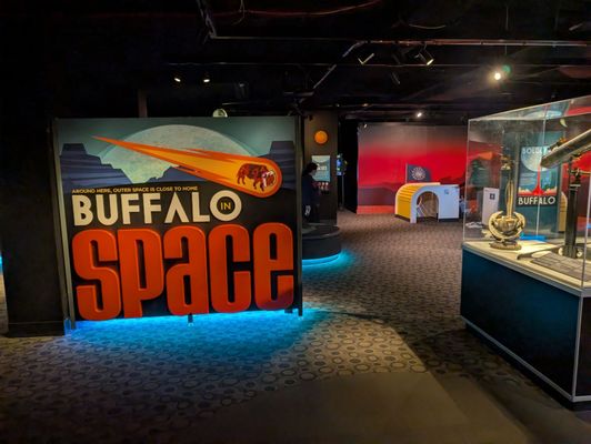 Buffalo Museum of Science by null