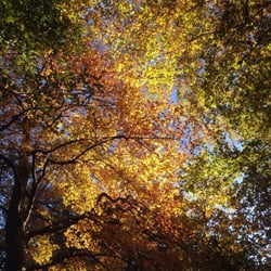 National Trust: Rowallane Garden