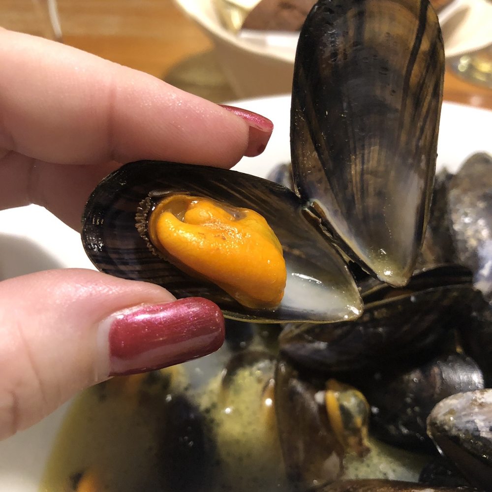 Morans Oyster Cottage - Jewels of the Sea - Seafood Near Me - Galway, G Morans Oyster Cottage - Jewels of the Sea - Seafood Near Me - Galway, G