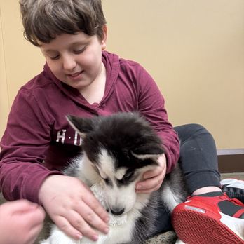 Petland - Pet Stores Near Me - Murfreesboro, Tennessee