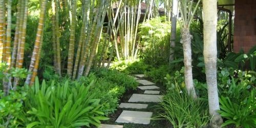 Slide of Mauka Solutions