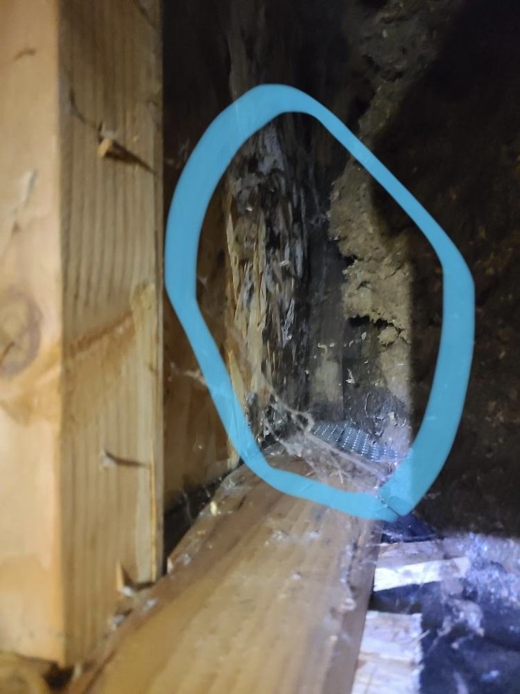 Slide of Michael Roofing and Tree Trimming