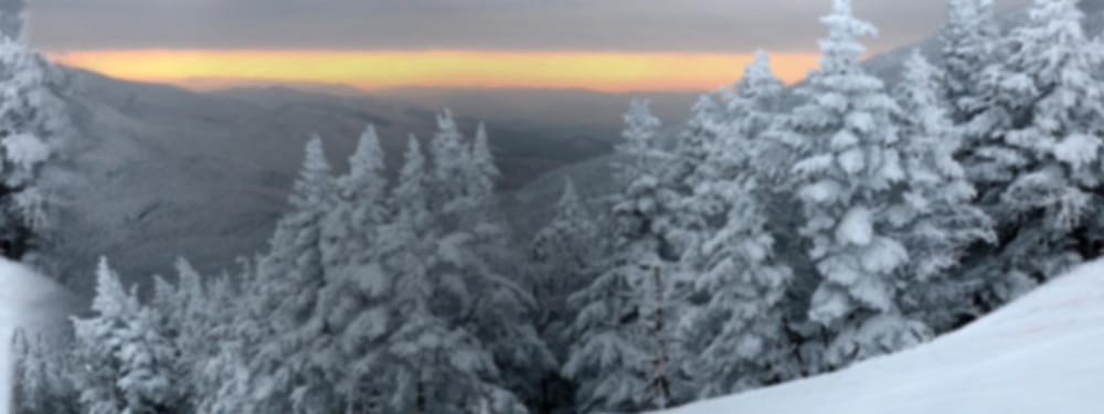 The Ski Bum Logo