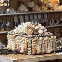 The Sand House - Jewelry box covered in natural seashells on a wooden table in the shop