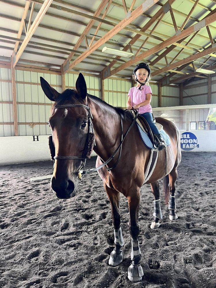 Full Moon Farm - equestrian in Finksburg, MD