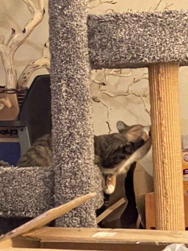 C&C CAT FURNITURE TEMP. CLOSED Updated October 2024 73 Photos