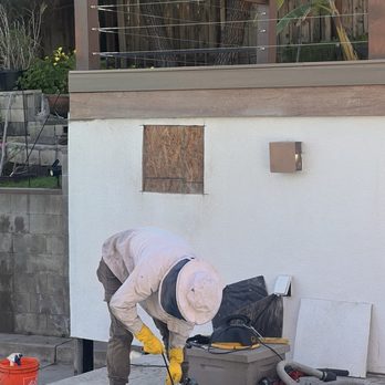 AA-Beekeeper - Prepping to cut the plywood after removal of the stucco. - Pest Control Near Me