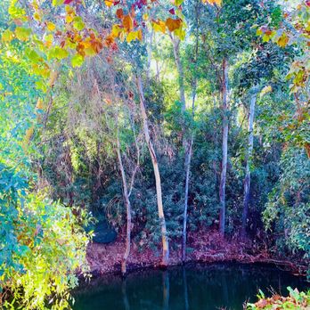 Dry Creek Park - Parks Near Me - Clovis, California Dry Creek Park - Parks Near Me - Clovis, California
