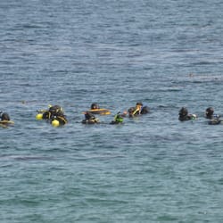Harbor Dive Center