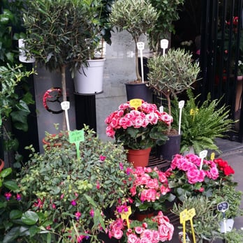 Liliane de Matos - Florists Near Me - Paris, 75