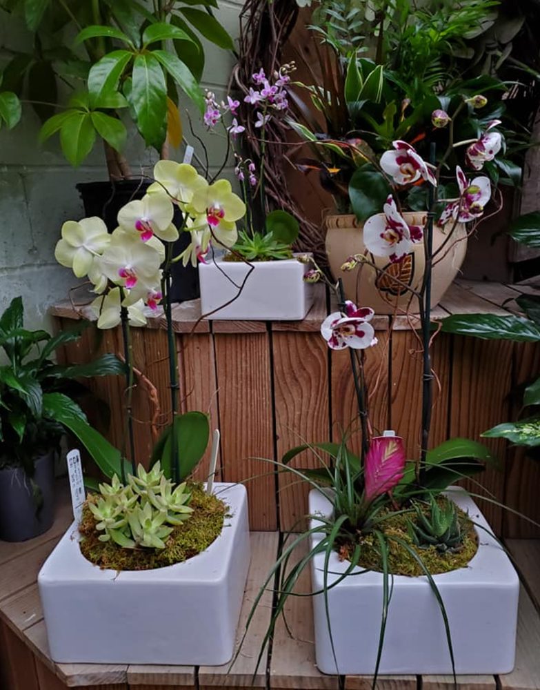 FLOWERS BY CAROLE Updated July 2024 16 Photos & 10 Reviews 347