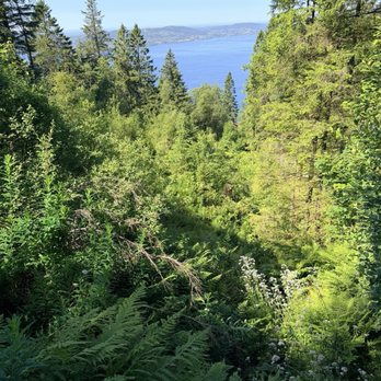 Fløyen utsiktspunkt - Hiking Near Me - Bergen, 12