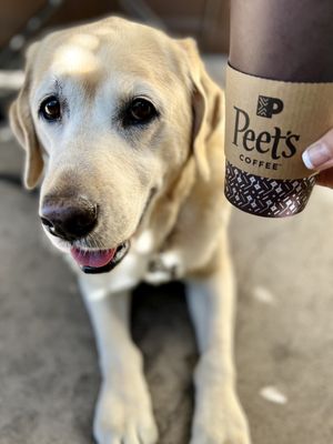Peet's Coffee by null