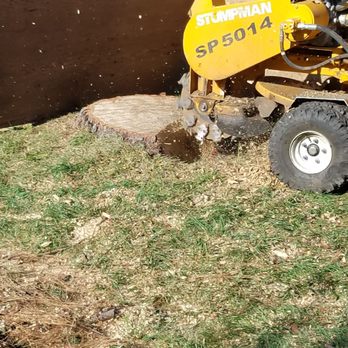 Stumpman - Tree Services Near Me Stumpman - Tree Services Near Me