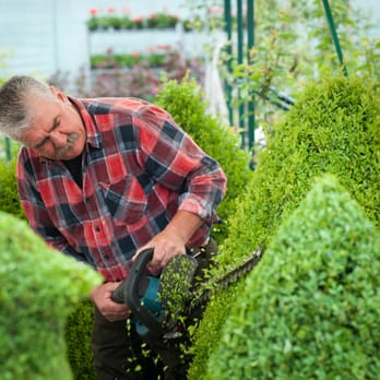 Baumschulen Peter Riechers - Nurseries & Gardening Near Me - Braak, SH