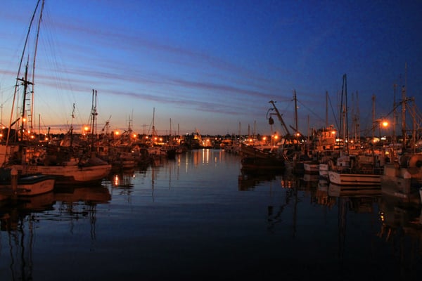 Fishermen's Terminal by null