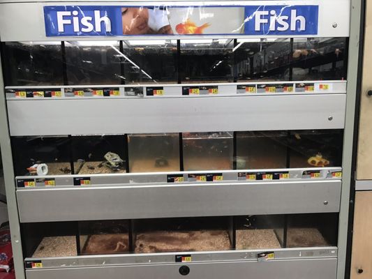 Walmart by null