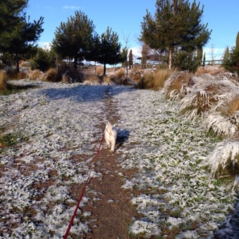 Parque El Montecillo - Après la neige... - Parks Near Me