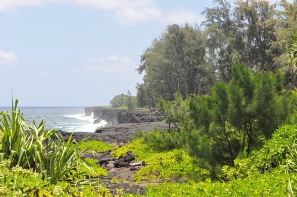 Kahanu Garden, National Tropical Botanical Garden by null
