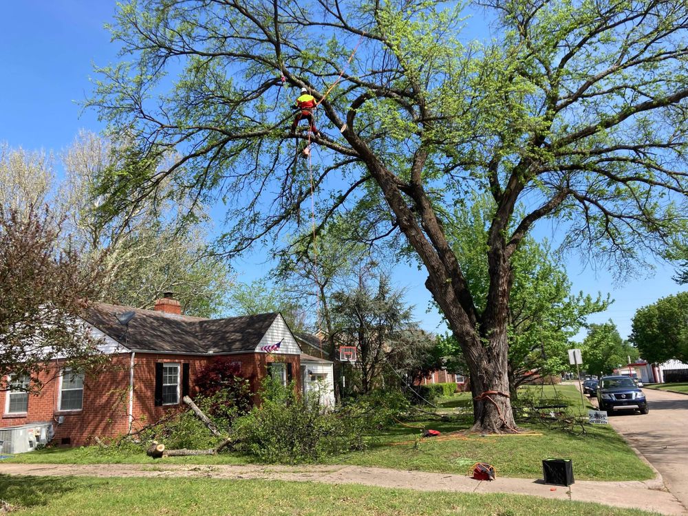 All American Climbers Tree Service - tree service in Tulsa, OK