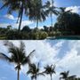 The Bless Landscaping