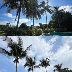 The Bless Landscaping - Just trimmed, before and after