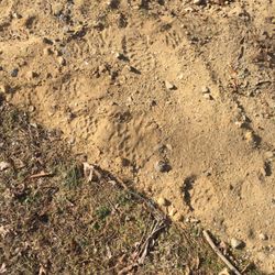 Duxbury Construction - This was grass/lawn. Now it's all sand. Thanks Duxbury Construction.