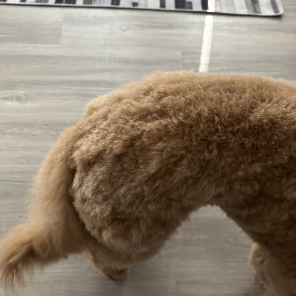 You can see the took marks they used to cut his hair clearly You can see the took marks they used to cut his hair clearly